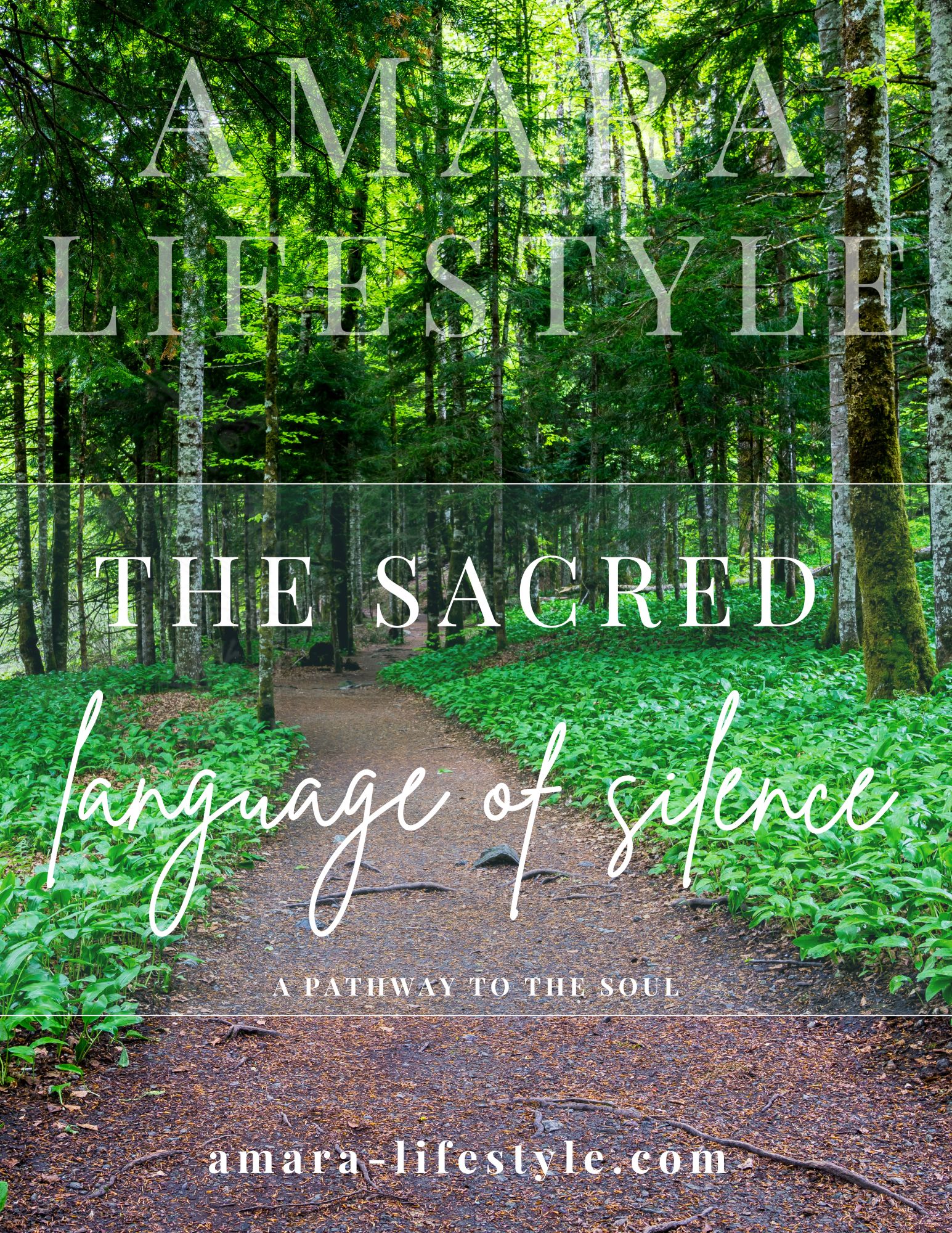 A peaceful forest trail inviting deep reflection, stillness, and connection to the sacred language of silence, where nature whispers its wisdom.